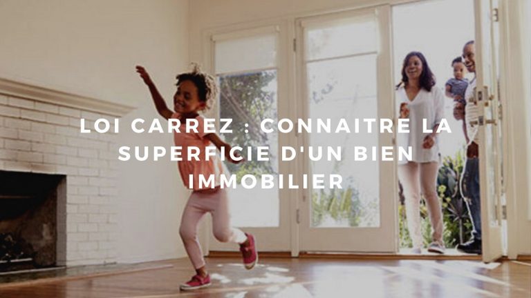 loi carrez
