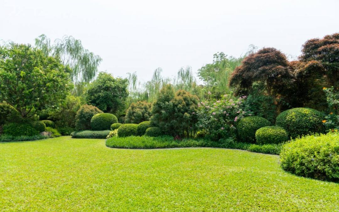 De la nouveauté dans votre jardin