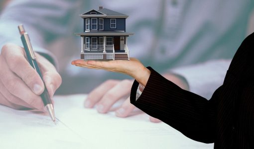 L’agence : un rôle de conseil