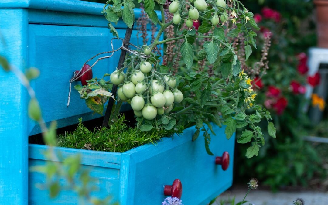 Instructions pour installer des conduites d’eau dans le jardin